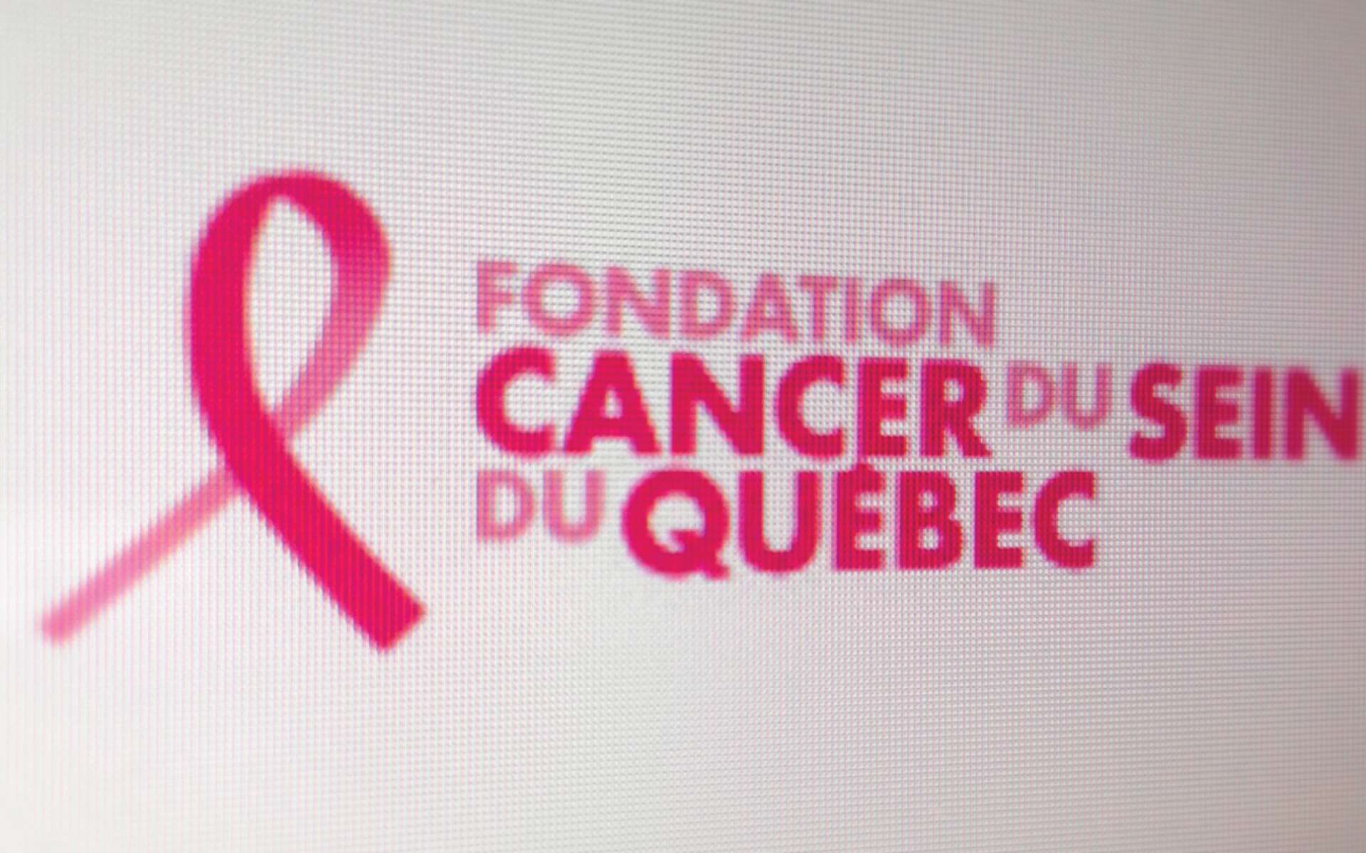 Fondation du cancer du sein du Québec - Campagne d’information 2013
