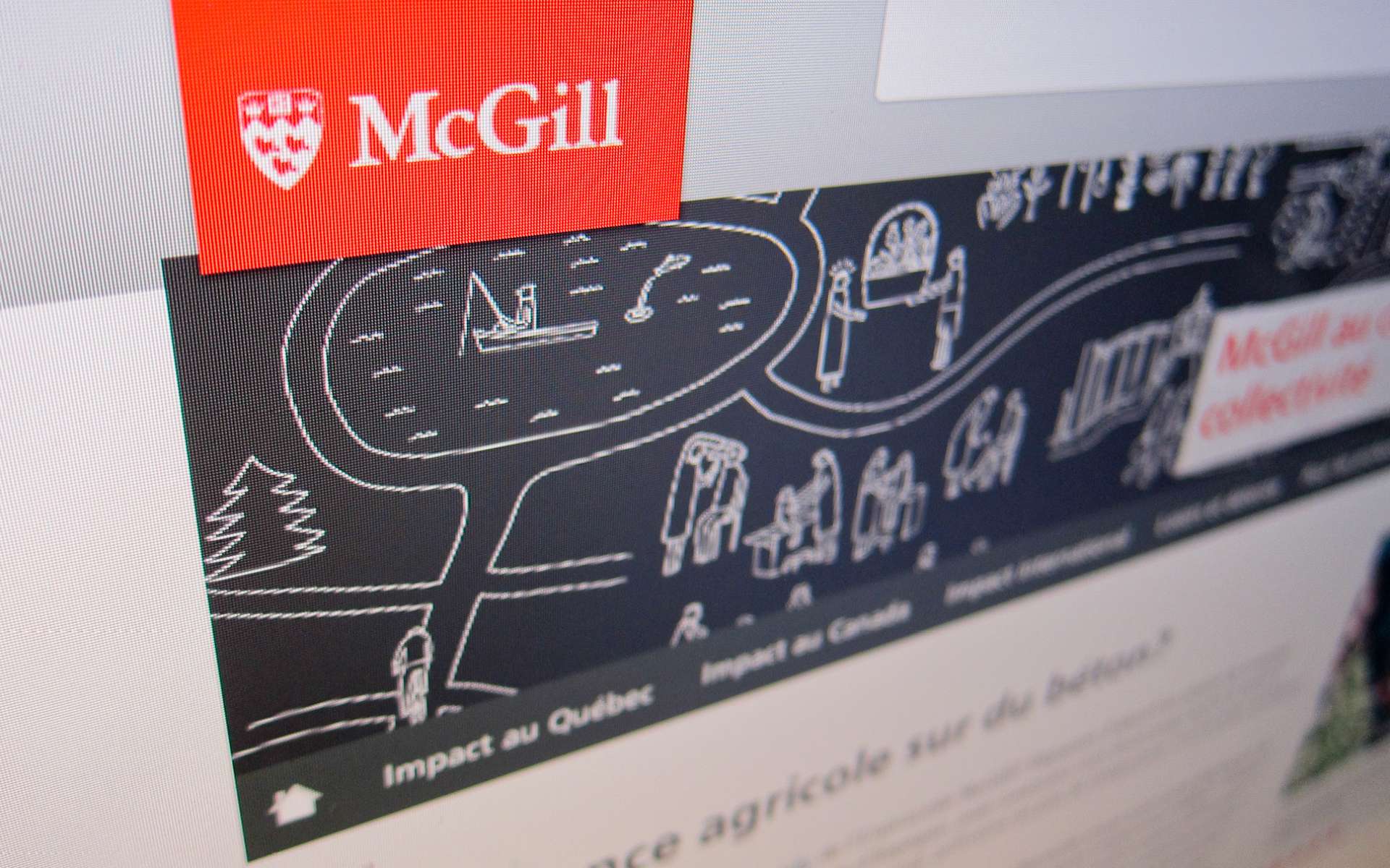 Université McGill - McGill et son monde
